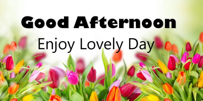 Good Afternoon Wishes Images Free Download - Latest World Events