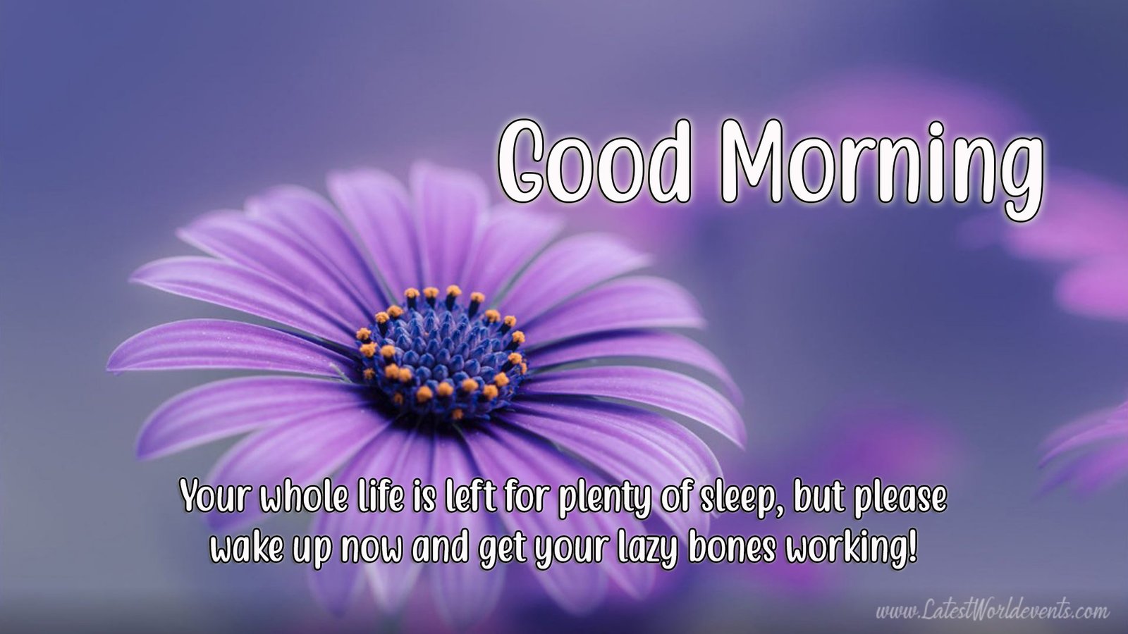 Heartfelt Good Morning Messages for Her & Good Morning Quotes for her