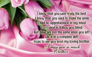 Miss you brother quotes from sister & Miss you brother status