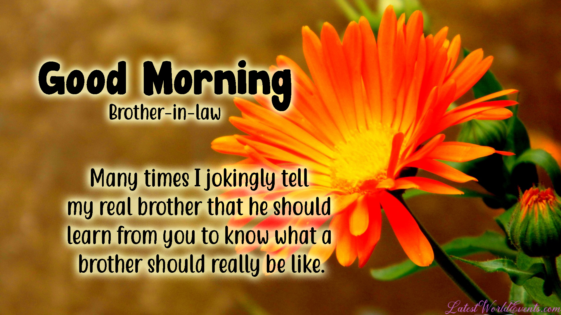Good morning wishes for brother in law - Latest World Events