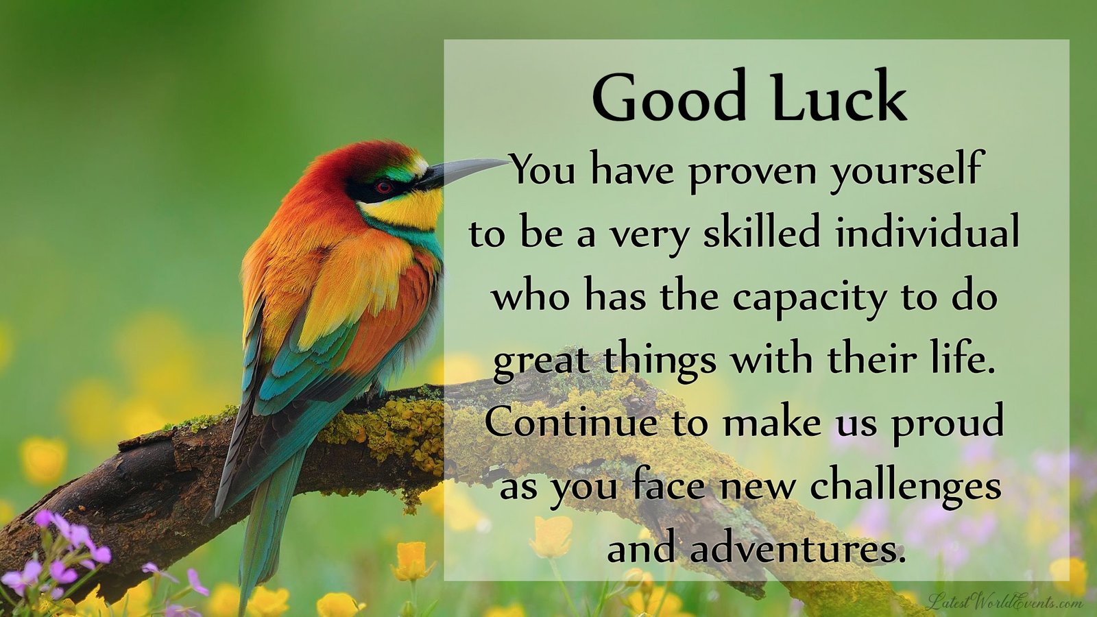 Good luck wishes for future & Good luck messages for best friend