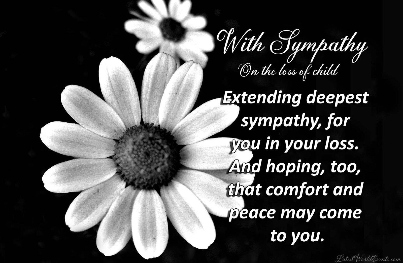 sympathy-quotes-for-loss-of-son-words-of-comfort-for-loss-of-child