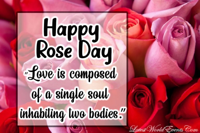 Love Quotes For Rose Day