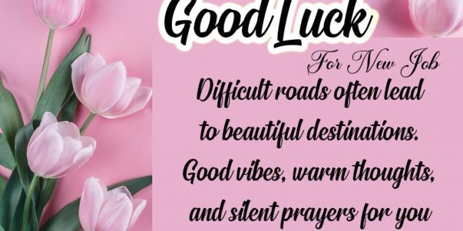 Good Luck For Exams Messages Quotes - Latest World Events