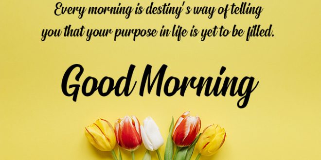 Good morning Motivational Quotes & Good Morning Messages