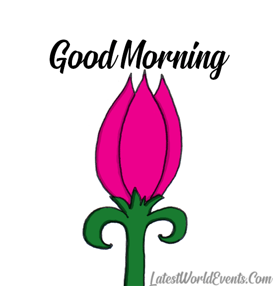 Good Morning GIF Wishes - Latest World Events